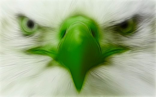 865769 (a): :1920x1200